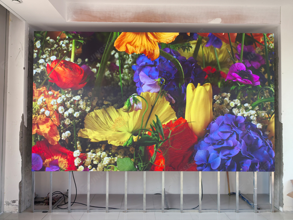 1731661759627157.jpg 案例水印2.jpg